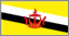 Brunei flag